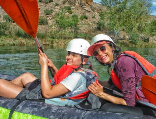 KAYAKING DAY ( à la rencontre du Faucon Pèlerin )