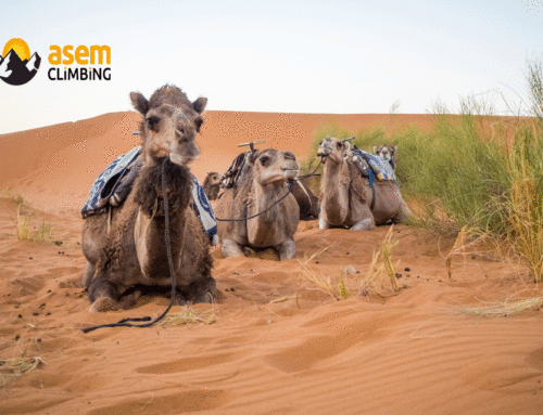 LA GRANDE TRAVERSEE DU DESERT MAROCAIN